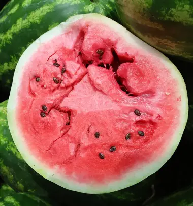 watermelon sliced in half